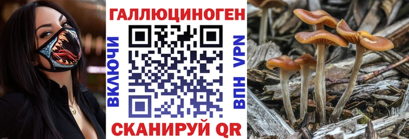 Псилоцибиновые грибы Cubensis  omg зеркало  Белоусово 